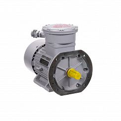 Электродвигатель АИМУР 180 М4 У2,5 380/660В, класс изоляции Н, PBExdI Mb, РТС (статор), подшипники SKF, 30/1500 IM9781