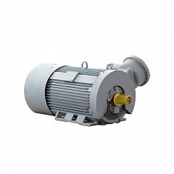 Электродвигатель 2АИМУР 315 L4 У2,5 660/1140В, класс изоляции Н, PBExdI Mb, РТС (статор), стальной фланец, подшипники SKF, 315/1500 IM9701