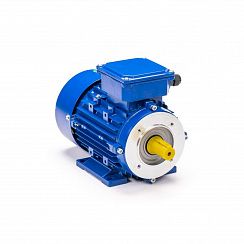 Электродвигатель 5АИ 63 А4 FT100 0,25/1500 IM2181