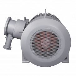 Электродвигатель ВАО7М 450 LB2 УХЛ1 РВЕхdI Mb 6000В IP54 400/3000 IM1001