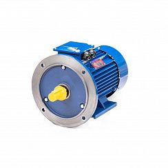 Электродвигатель 5АИ 100 S4 3/1500 IM2081