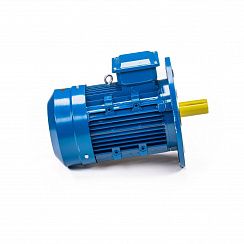 Эл.двигатель 5АИ 132 М2 11/3000 IM 3081