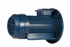 Эл.двигатель 5АИ 90 L2 Ж У2 3/3000 IM 2081