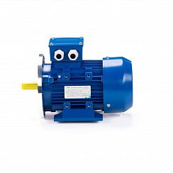 Электродвигатель ESQ 56 A4-SDN- 0,06/1500 IMB35