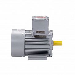 Электродвигатель АИМУ 100 L8 У1, 380В, 1ExdIIBT4 Gb, 1,5/750 IM1081