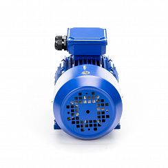 Электродвигатель 5АИ 80 А2 1,5/3000 IM1081