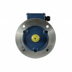 Электродвигатель 5АИ 63 В6 0,25/1000 IM2081