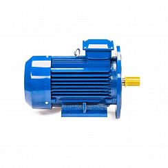 Электродвигатель 5АИ 112 М4 ET2 5,5/1500 IM2081