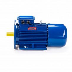 Электродвигатель 5АИ 100 L4 ED 4/1500 IM2081