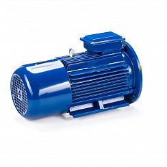 Электродвигатель 5АИ 100 L4 ED 4/1500 IM2081