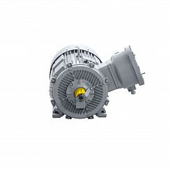 Эл.двигатель 2АИМУР 355 М6 У2,5 380/660В, кл изоляции Н, PBExdI Mb, РТС (статор), подшипники SKF, 250/1000  IM 1001