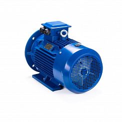 Электродвигатель ESQ 112 N4-SDN- 5,5/1500 IMB35