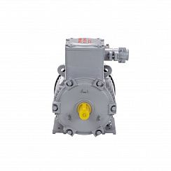 Электродвигатель АИМУ 100 L8 У1, 380В, 1ExdIIBT4 Gb, 1,5/750 IM1081