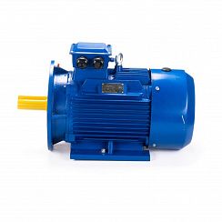 Электродвигатель ESQ 160 M4-SDN- 11/1500 IMB35