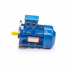 Электродвигатель 5АИ 63 В4 0,37/1500 IM3081