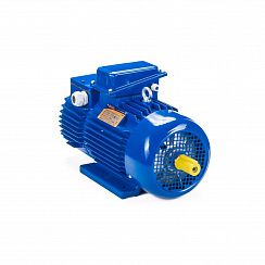 Электродвигатель 5MTH 400 М10 132/600 IM1003