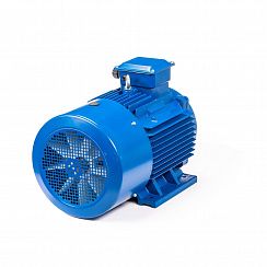 Электродвигатель 5АИ 200 L6 30/1000 IM1001