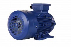 Электродвигатель 5АИ 100 L6 ED 2,2/1000 IM1081