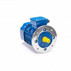 Эл.двигатель 5АИ 90 L2 3/3000 IM 3081